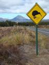 SKIwi