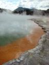 Vlakbij Rotorua...