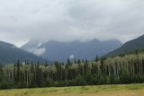Canada 2014 (737)