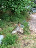 IMG_1342
