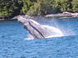 Canada 2014 (1070)_crop-2