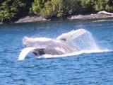 Canada 2014 (1071)_crop