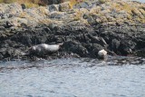 Canada 2014 (1202)