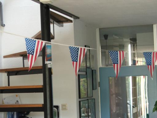 Amerika 2010 Feestverhogende artikelen (code D5)