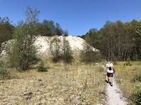 Hummocks