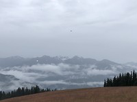 Hurricane Ridge