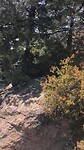 Hike via Echo Canyon Trail