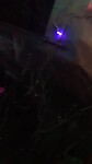 Meow Wolf Experience (2)