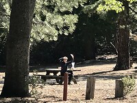 Stoelendans met picknicktafel