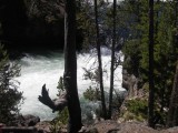 Rivier