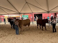 Cascade Rodeo