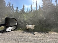 Elk River backcountry Byway