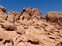 Elephant Rock