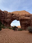 Pine tree Arch