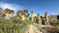 Cottonwood Spring Oase