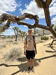 Joshua Tree