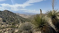 High mountain trail