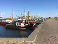 IMG_3071