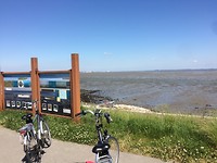 IMG_3075