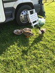 IMG_7014