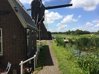 IMG_3110