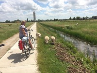IMG_3111