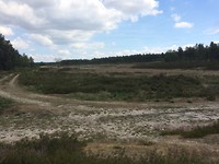 IMG_3183