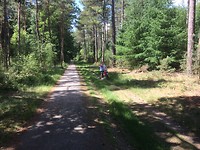 IMG_3181