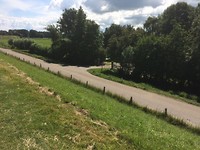 IMG_3372