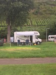 IMG_3438