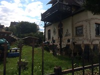 IMG_3451