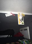 IMG_3470