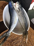 Catch of the day