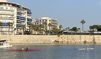 Roeiers in de marina