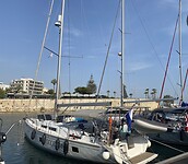 Goodwin in Marina Zea