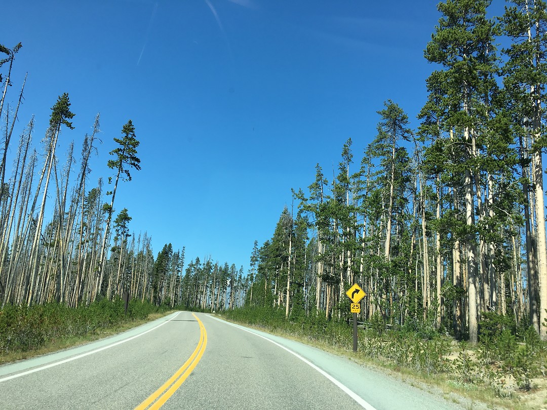 Yellowstone