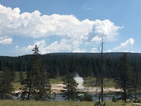 Yellowstone National Park