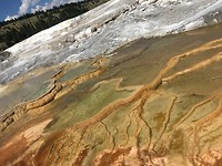 Mammoth Hot Springs