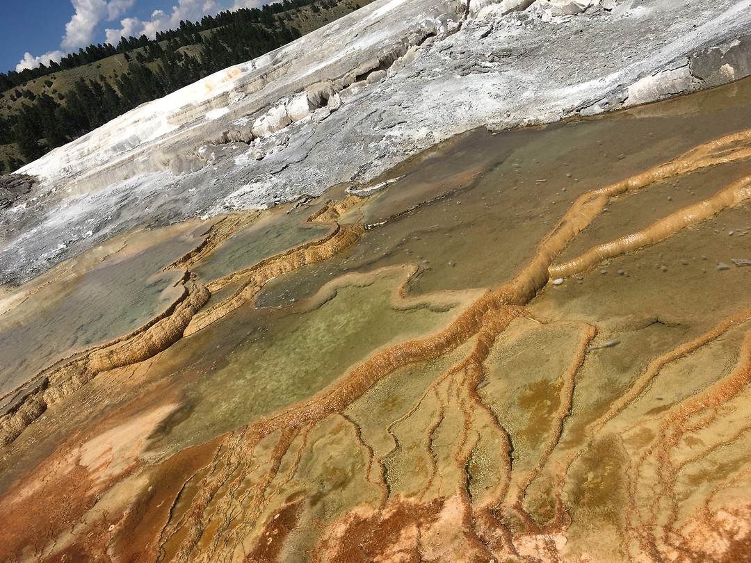 Mammoth Hot Springs