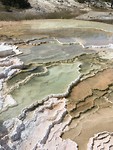 Mammoth Hot Springs