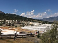 Mammoth Hot Springs