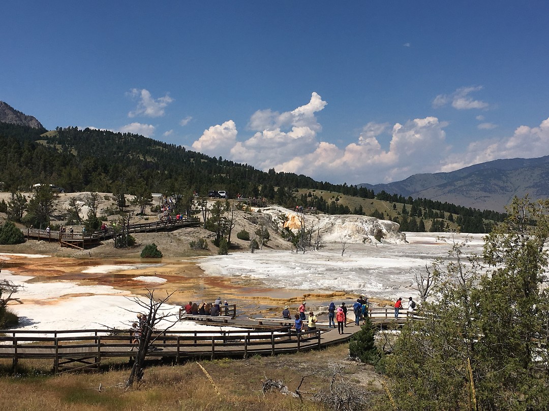 Mammoth Hot Springs