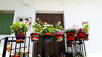 Gebreide bloempot jasjes