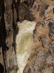 Epupa