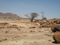 Desert