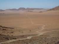 Wich way to go?