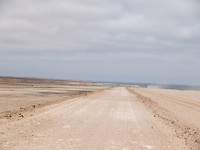 Weg uit de desert