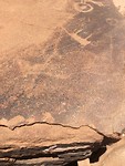 Rotstekeningen Twyfelfontein