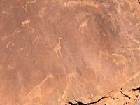 Rotstekeningen Twyfelfontein.