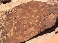 Rotstekeningen Twyfelfontein.